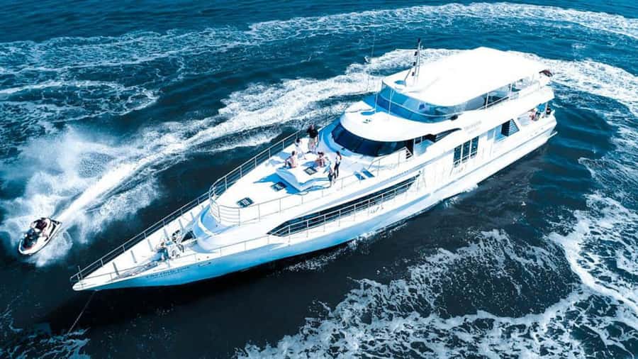 Gold Coast: Luxury Whale Watching Tour - Sun Goddess and 360-degree whale viewing from Mariner’s Cove