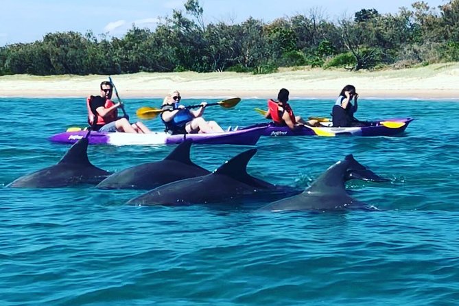 Gold Coast: Morning Kayak & Snorkel Adventure with Breakfast - Key things I’d plan around
