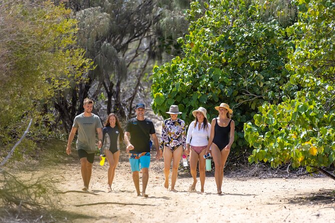 Gold Coast: Morning Kayak & Snorkel Adventure with Breakfast - Paddling the Broadwater Channel: Calm Water, Real Wildlife Chances