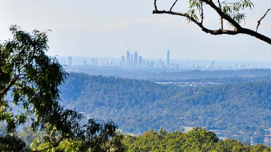 Gold Coast: Mount Tamborine Kangaroo and Koala Day Tour - Gold Coast skyline viewpoints: the payoff after the walking
