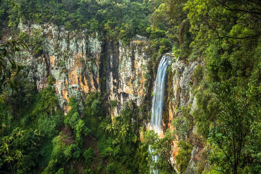 Gold Coast: Natural Bridge & Springbrook Waterfalls Tour - Springbrook Turns Your Gold Coast Day Into Waterfall Country