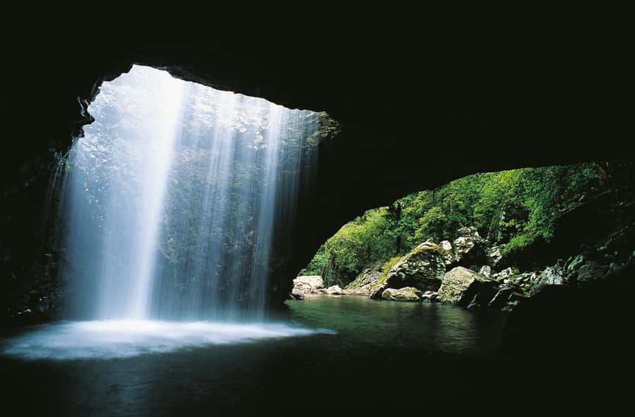 Gold Coast: Natural Bridge & Springbrook Waterfalls Tour - Hinze Dam Stop and Snack Time, So You Actually Enjoy the Park