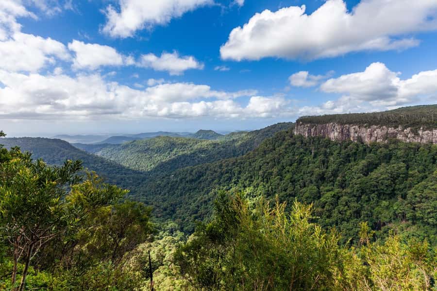 Gold Coast: Natural Bridge & Springbrook Waterfalls Tour - Natural Bridge Rainforest Walk, Water Cascades, and Cave Views