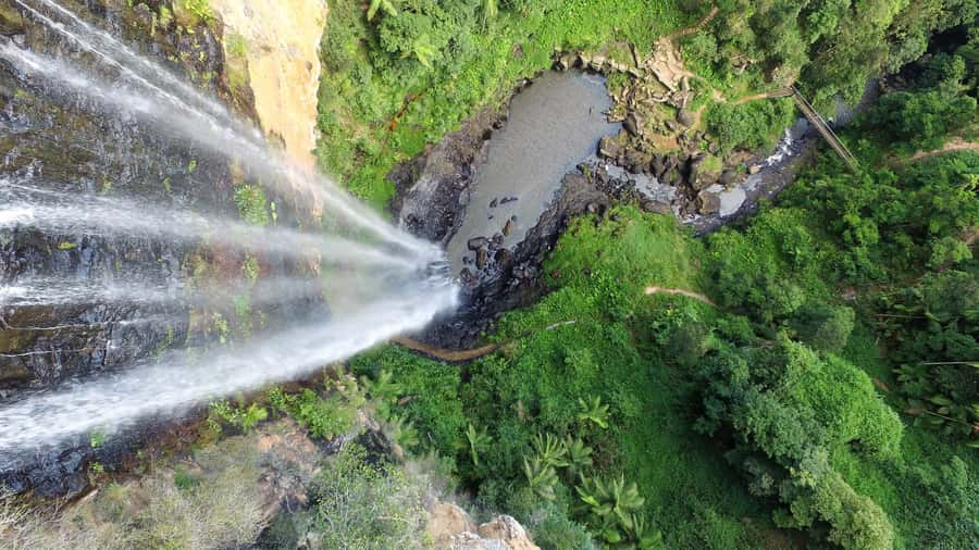 Gold Coast: Natural Bridge & Springbrook Waterfalls Tour - Best of All Lookout, Mount Warning Views, and Short Walks With Big Payoffs