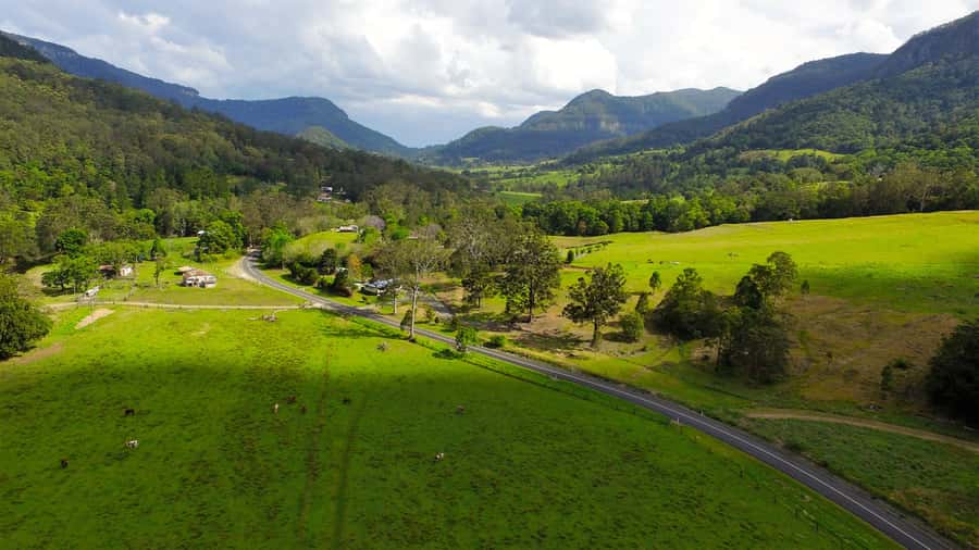 Gold Coast: Natural Bridge & Springbrook Waterfalls Tour - Price, Value, and What You’re Really Paying For