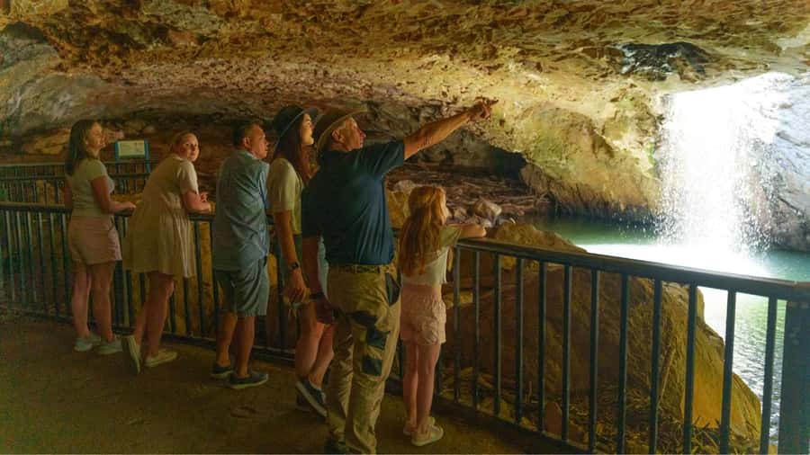 Gold Coast: Natural Bridge & Springbrook Waterfalls Tour - Who Should Book This Tour, and Who Should Skip It