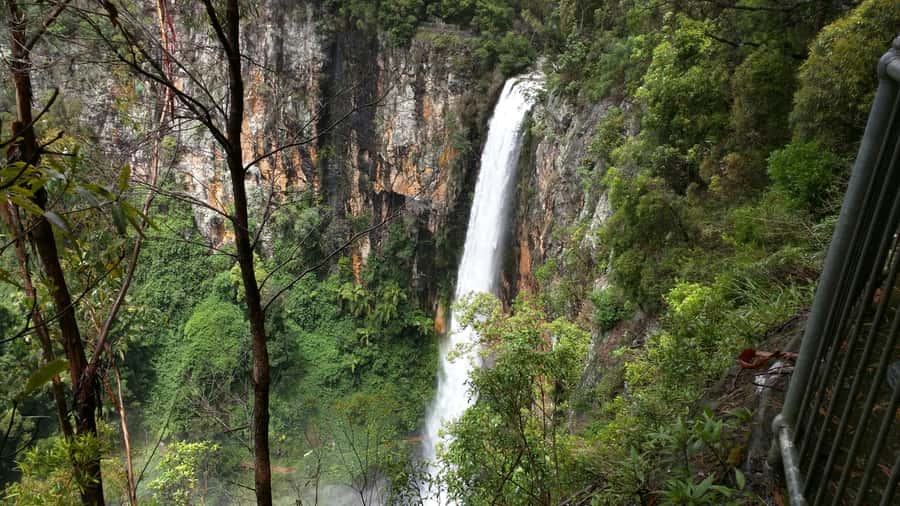 Gold Coast: Natural Bridge & Springbrook Waterfalls Tour - Meet at Aquaduck, Then Let the Bus Handle the Miles