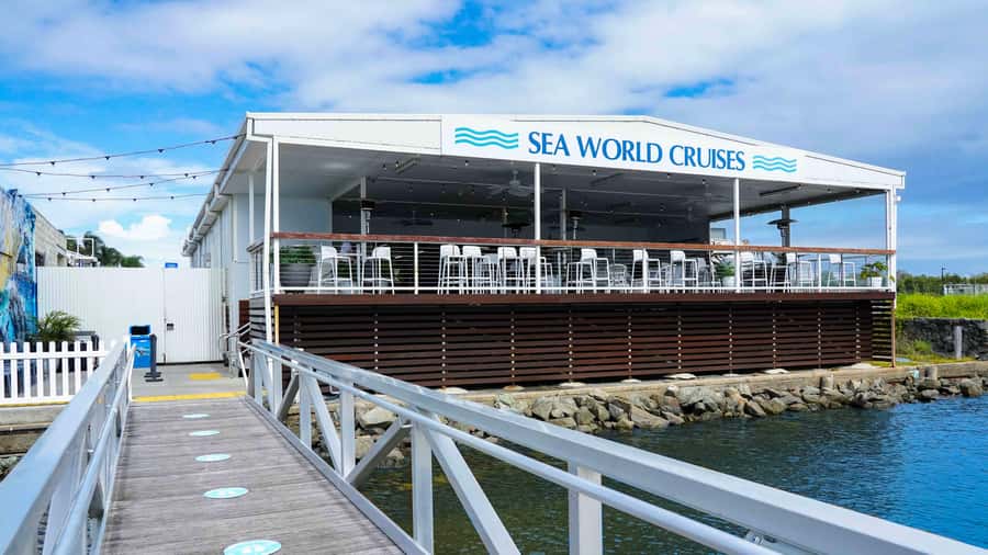Gold Coast: Premium Whale Watching Cruise - Price and value, plus the guarantee that lowers the risk