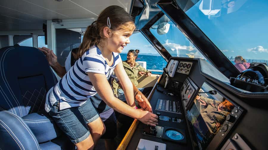Gold Coast: Premium Whale Watching Cruise - Who this cruise fits best on the Gold Coast