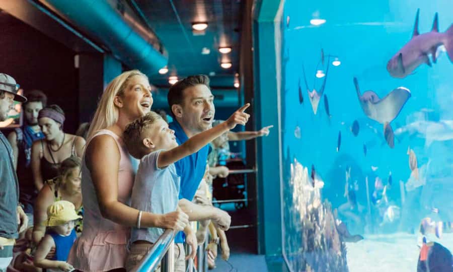 Gold Coast: Sea World Cruise & Entry Combo Ticket - Why the HOPO Sea World cruise combo is a great one-day use of time