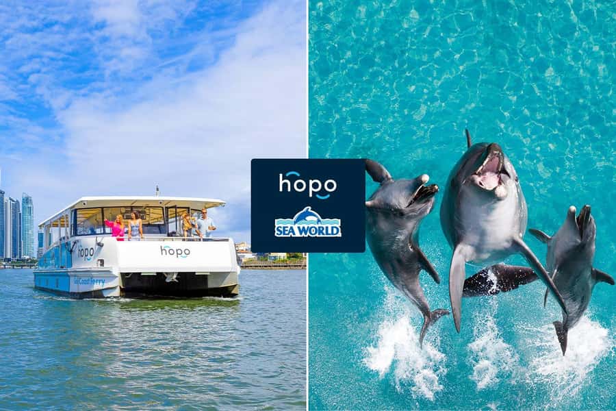 Gold Coast: Sea World Cruise & Entry Combo Ticket - The 50-minute sightseeing cruise: turning “getting there” into part of the trip