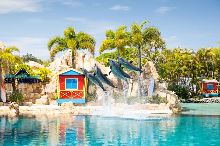 Gold Coast: Sea World Cruise & Entry Combo Ticket - Price and value: is $84 per person fair for what you get?