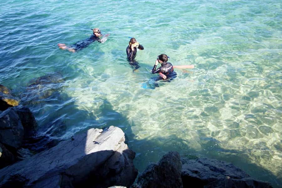 Gold Coast: Snorkelling in Wave Break Island - Wave Break Island snorkeling: why this Gold Coast spot works