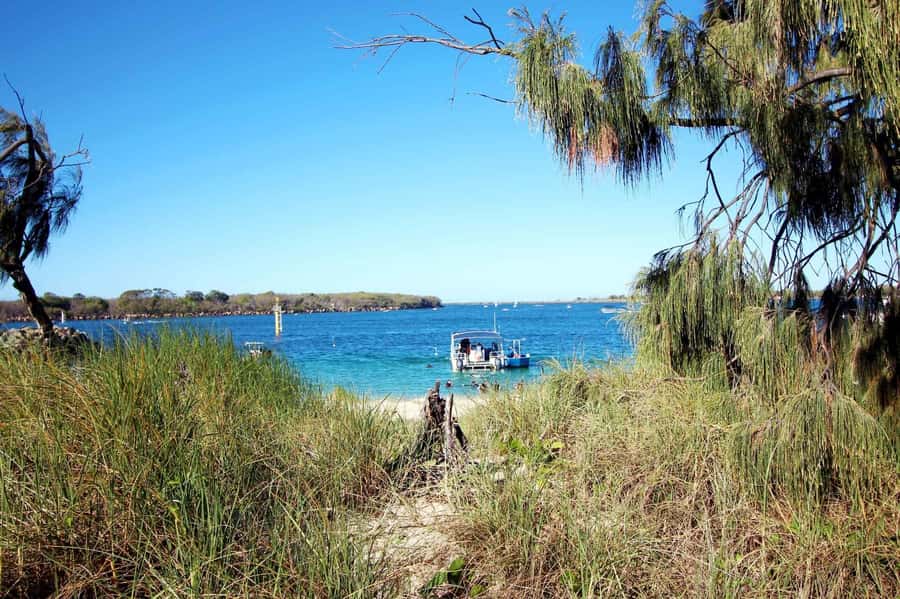 Gold Coast: Snorkelling in Wave Break Island - Hand-feeding fish and snapping underwater photos that look good