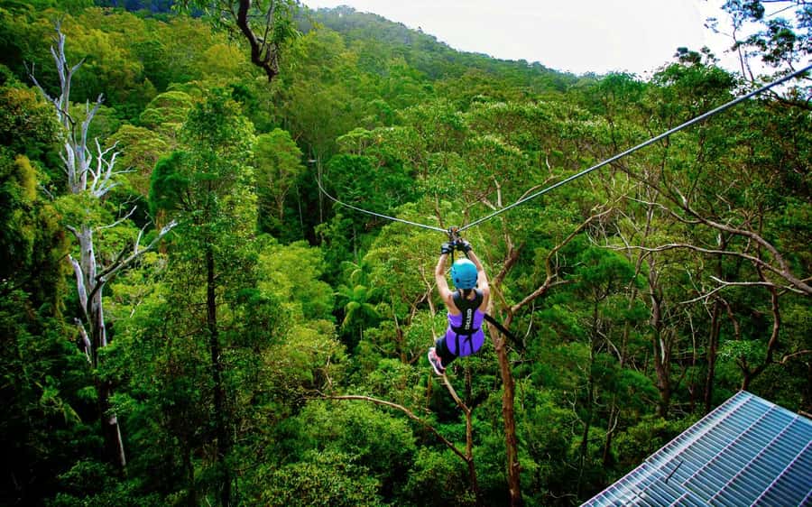 Gold Coast: Tamborine Mountain Canyon Flyer Zipline Tour - Pre-flight coaching and those plank bridges