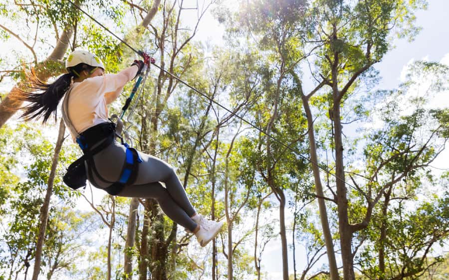 Gold Coast: Tamborine Mountain Canyon Flyer Zipline Tour - What to pack, wear, and do before you go