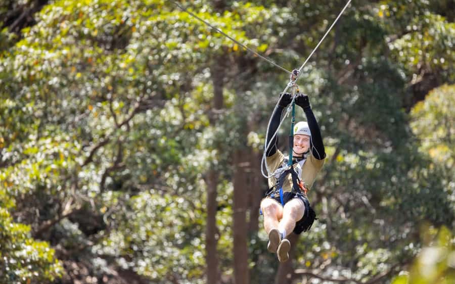 Gold Coast: Tamborine Mountain Canyon Flyer Zipline Tour - Getting to Thunderbird Park from the Gold Coast or Brisbane
