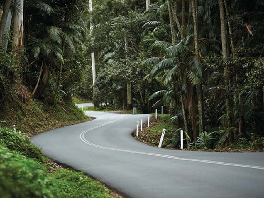 Gold Coast: Tamborine Mountain Local Winery Tour with Lunch - Hampton Estate Winery lunch: the reason this tour feels like a full day