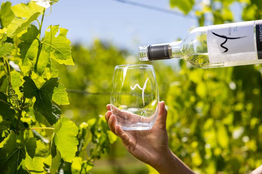 Gold Coast: Tamborine Mountain Local Winery Tour with Lunch - Pacing and venue swaps: what changes and what stays the same