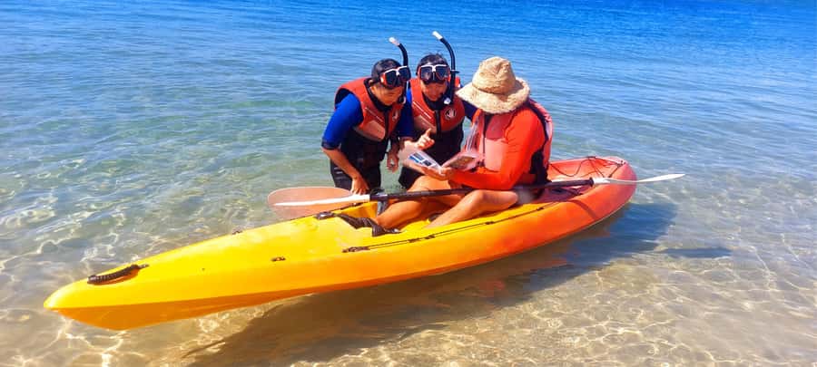 Gold Coast: Wave Break Island Kayaking & Snorkeling tour - Why Wave Break Island kayaking feels different on the Gold Coast