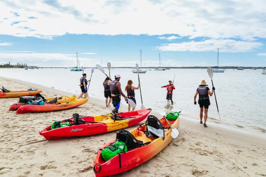 Gold Coast: Wave Break Island Kayaking & Snorkeling tour - The paddle back: stay alert for dolphins and surprises