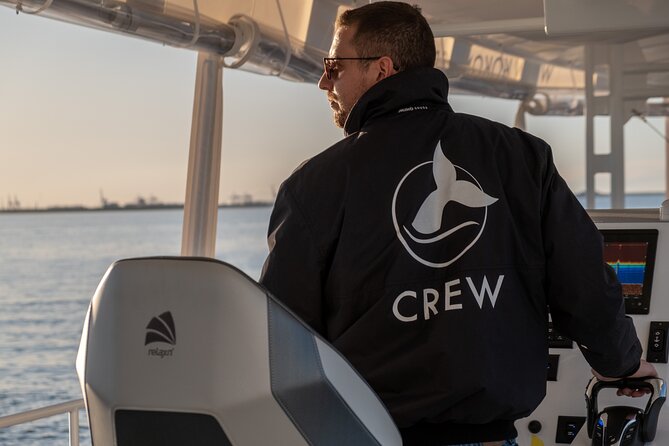 Gold Coast Whale Watching Cruise - Timing, weather, and what to pack so you stay comfortable