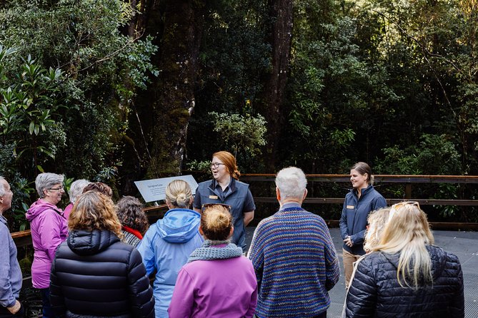 Gordon River Cruise departing from Strahan - Stop at Sarah Island: Convict-Era Tension Meets Real Storytelling