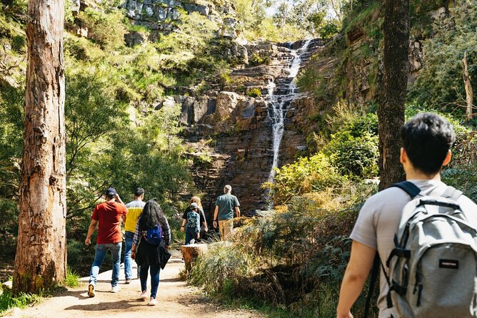 Grampians National Park Small-Group Eco Tour from Melbourne - Key Highlights You Can Plan Around