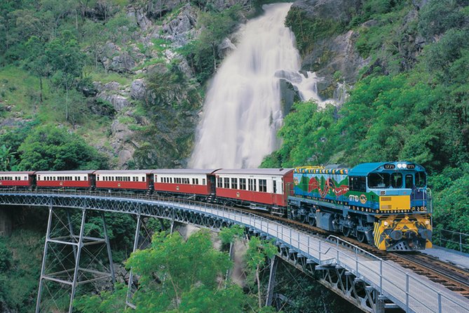 Grand Kuranda including Skyrail and Kuranda Scenic Railway - Kuranda village markets: using 1.5 hours wisely