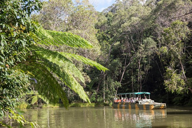 Grand Kuranda including Skyrail and Kuranda Scenic Railway - Pamagirri Aboriginal Experience: Dreamtime walk and cultural activities