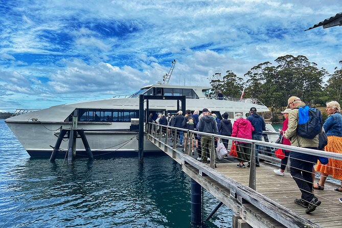 Grand Port Arthur with guided Isle of the Dead tour - Pirates Bay Lookout, the scenery pause between big history stops