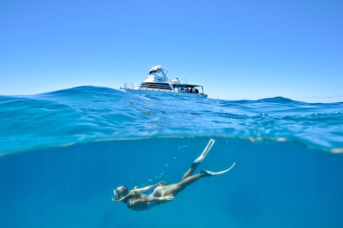 Great Barrier Reef Cruise from Townsville or Magnetic Island - Key Things I’d Plan Around