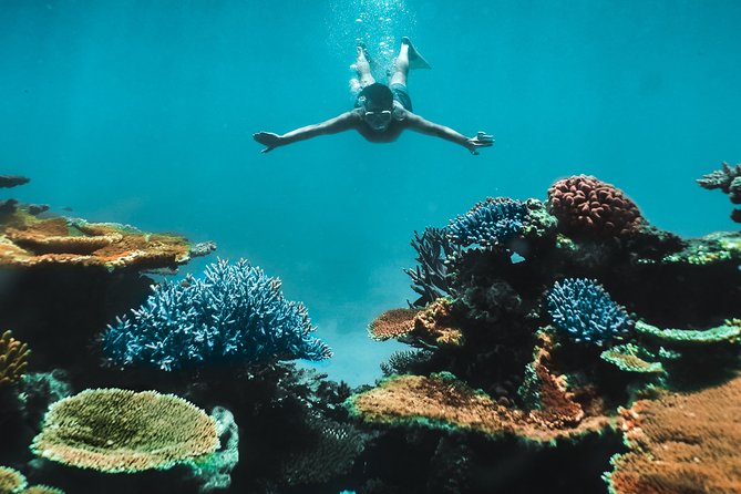 Great Barrier Reef Cruise from Townsville or Magnetic Island - Townsville or Magnetic Island: Getting On The Boat Without Wasting Your Day