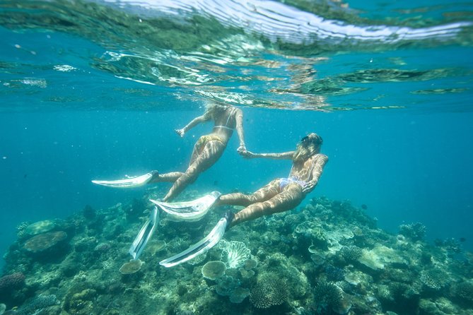 Great Barrier Reef Cruise from Townsville or Magnetic Island - Meals and Boat Comfort on a 10-Hour Reef Day