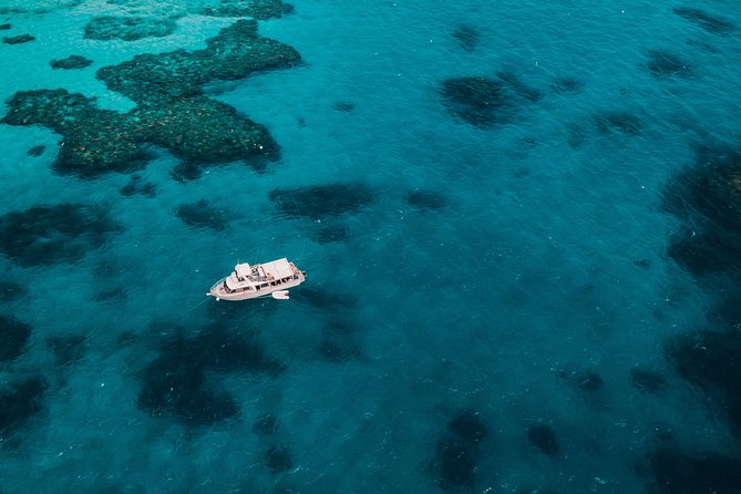 Great Barrier Reef Cruise from Townsville or Magnetic Island - Snorkeling Day: Gear, Floating Help, and Where to Look