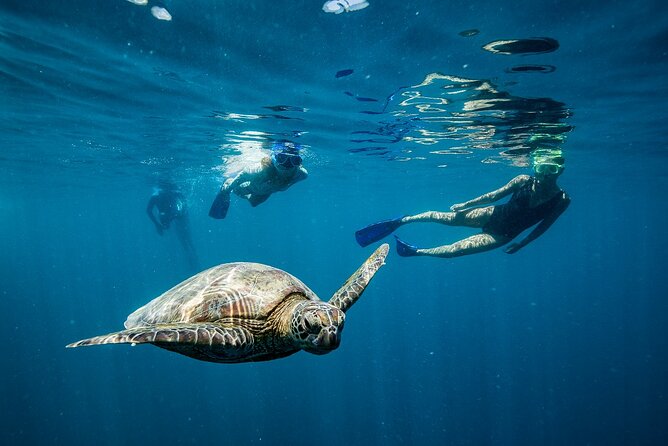 Great Barrier Reef Full Day Adventure - Snorkeling gear, stinger suits, and how to get more from less time