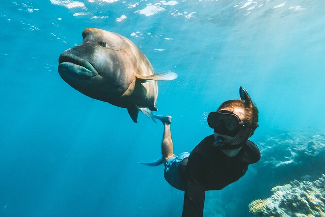 Great Barrier Reef Full Day Adventure - Staying dry: semi-submersible and underwater observatory