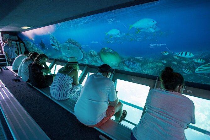 Great Barrier Reef Full Day Adventure - Food on board: keeping energy steady for a long reef day