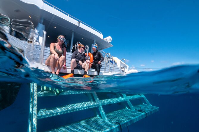Great Barrier Reef Full Day Tour from Cairns - Your water option: snorkel, first-time scuba try, or certified sessions