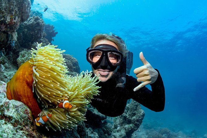 Great Barrier Reef Full Day Tour from Cairns - Lunch, snacks, showers, and the small stuff that adds up