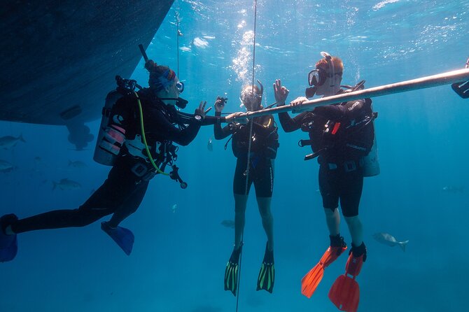 Great Barrier Reef Full Day Tour from Cairns - Price and value at about $197: what you’re really paying for