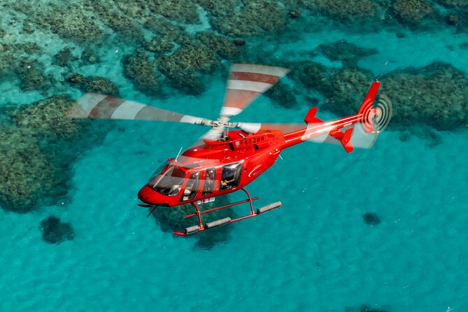 Great Barrier Reef or Rainforest Scenic Flights from Port Douglas - Key Things To Know Before You Book