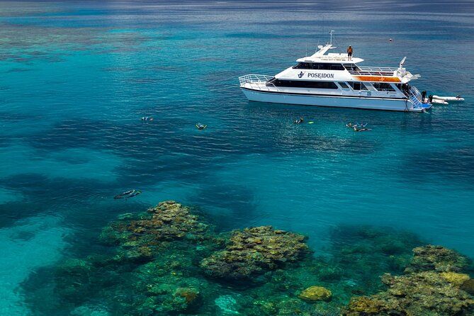 Great Barrier Reef or Rainforest Scenic Flights from Port Douglas - Small Shared Flight, Real Comfort, and the Weight Rules