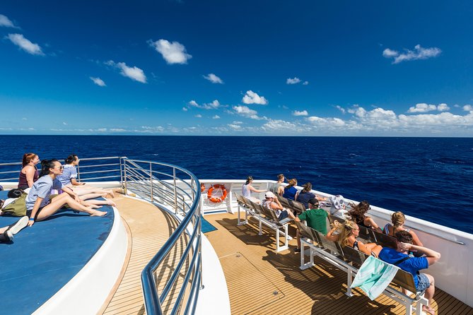 Great Barrier Reef Snorkeling and Diving Cruise from Cairns - Snorkeling Gear, Wetsuits, and the Stinger Suit That Changes Everything