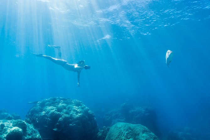 Great Barrier Reef Snorkeling and Diving Cruise from Cairns - BBQ Lunch on the Boat: The Fuel You Need for the Second Reef