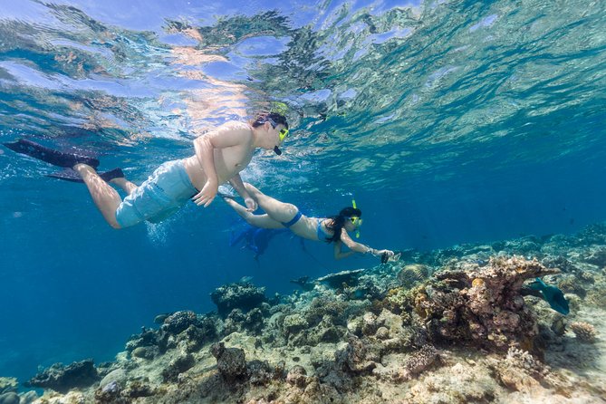 Great Barrier Reef Snorkeling and Diving Cruise from Cairns - The Second Reef Stop: Optional Scenic Flight and Extra Ways to Look
