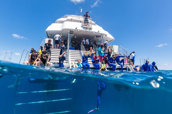 Great Barrier Reef Snorkeling and Diving Cruise from Cairns - Two Outer Reef Locations: Saxon or Norman First, Hastings Second