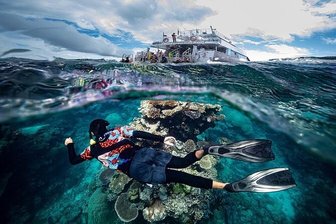 Great Barrier Reef with Cultural Guides-Dreamtime Dive & Snorkel - Milln or Flynn Reef: the second snorkel stop where the best photos happen