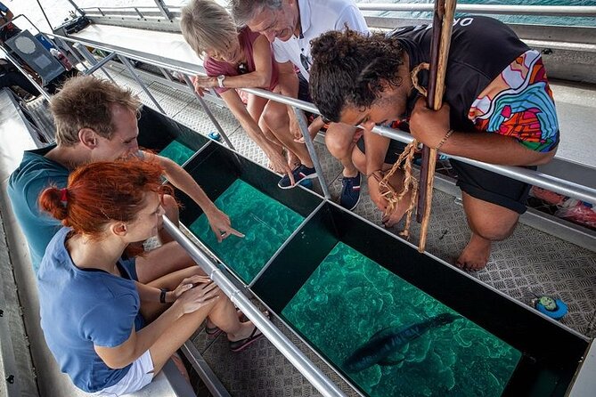 Great Barrier Reef with Cultural Guides-Dreamtime Dive & Snorkel - Marine biology talks that help you spot the reef’s patterns