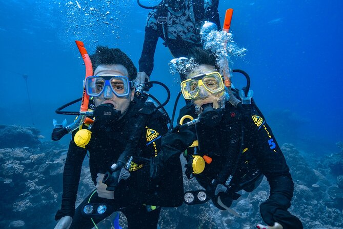 Great Barrier Reef with Cultural Guides-Dreamtime Dive & Snorkel - Timing, group size, and why the logistics are simpler than you fear